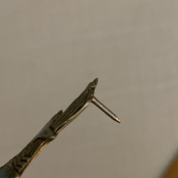 Native pin - Picture 9 of 15